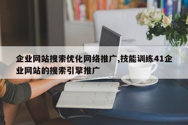 企业网站搜索优化网络推广,技能训练41企业网站的搜索引擎推广